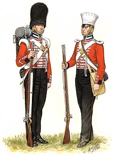 Private of the Grenadier Company
