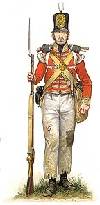 Grenadier of the Grenadier Company