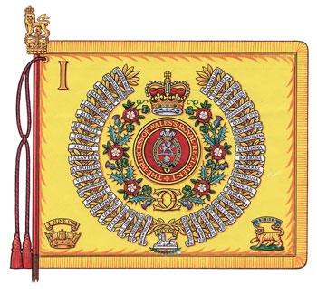 Figure 76 - Regimental Colour