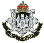east surrey regiment badge