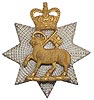 queen's royal susrrey regiment badge