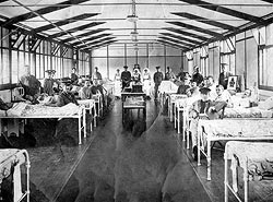 A hospital ward in India, First World War