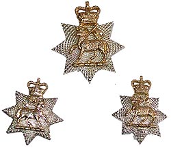 OR’s Shako Plate 