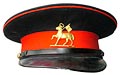 Forage Cap
