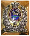 Shoulder Belt Badge