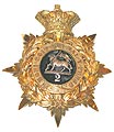 Helmet Plate