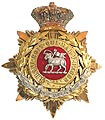 Helmet Plate