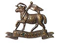 Helmet Plate