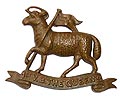 Cap Badge