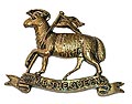 Cap Badge