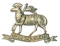 Cap Badge