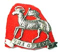 Cap Badge