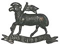 Cap Badge