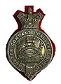 Shooting Arm Badge