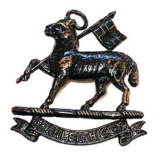Cap Badge