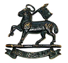 Cap Badge