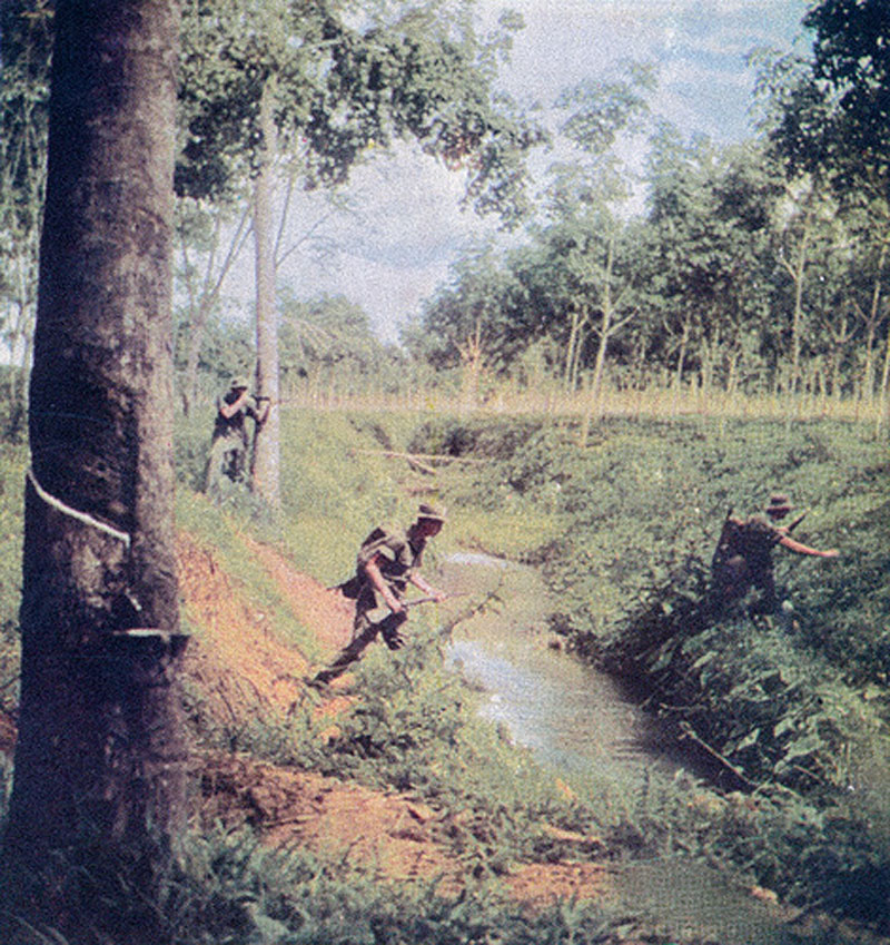 Rubber/Jungle Patrol 1955.