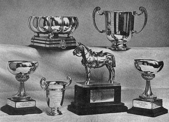 22<sup>nd</sup> London Regiment (The Queen 's) Trophies