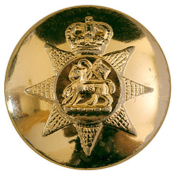 The Queen’s Regiment and The Royal Hampshire Regimen