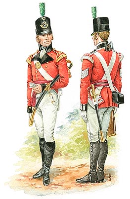 Officer' and Sergeant of the Light Company The 70th (Surrey) Regiment, circa 1803 - 1805